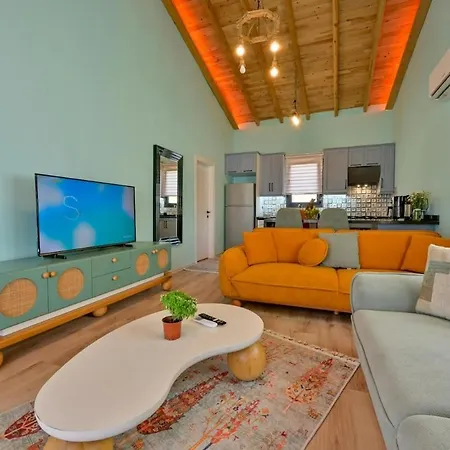 别墅 Ozbi 2-villa With Ootdoor Heated Pool For 4 People In 费特希耶