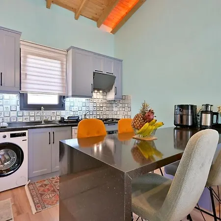 וילה Ozbi 2-villa With Ootdoor Heated Pool For 4 People In